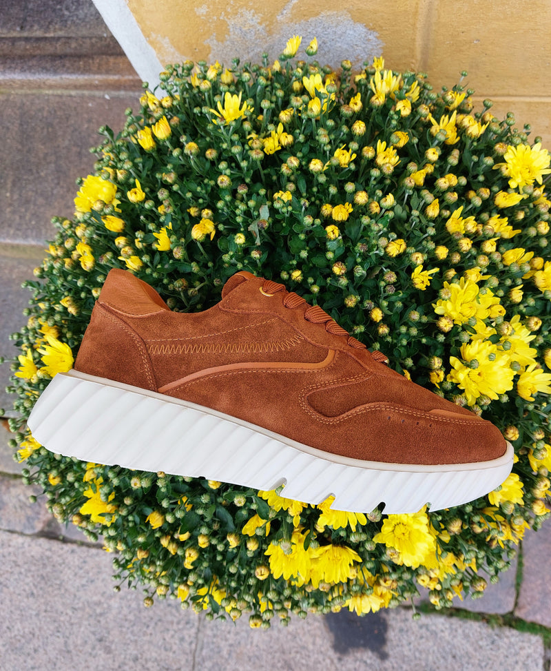 Unisa - Sneaker Brown Suede