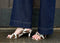 Babouche Lifestyle - Anna Sandal Cow UnnaS